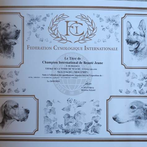 Internationaal Jeugd Kampioen