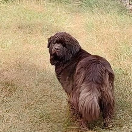 Wandelen bij Vredepeel