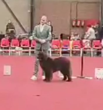 Tjeske 9 Maanden oud